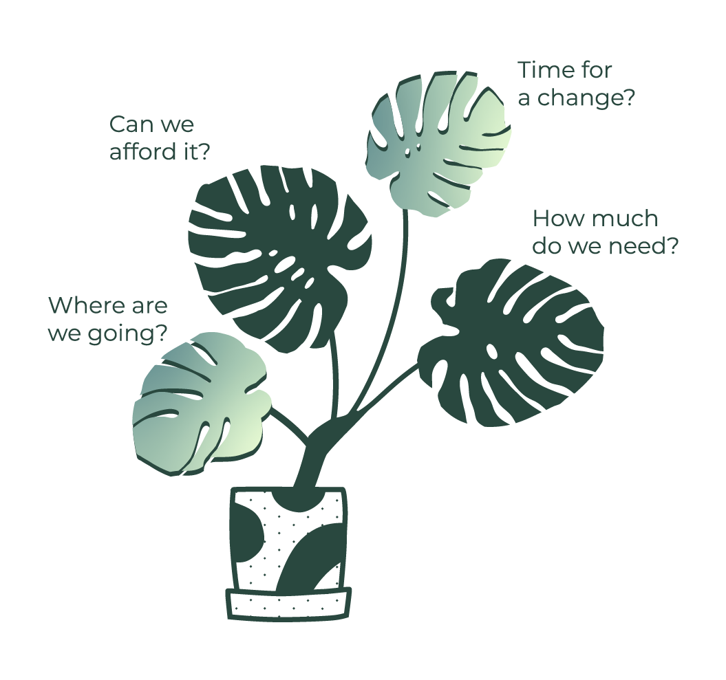 An illustration of a chaotic cheeseplant, indicating the different questions facing someone when confused about their finances.